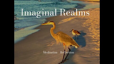 Imaginal Realms