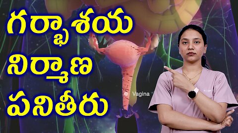 గర్భాశయ నిర్మాణ పనితీరు Structure Functions of Uterine related to Abnormal Uterine Bleeding