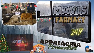 Merry Christmas Life on Doc's Farm 24/7 : Mavis Institute 🎵 🐓🦆🐝🐇🐖: