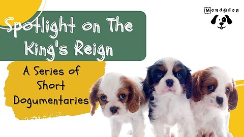 A Series of Short Dogumentaries The King's Reign dog