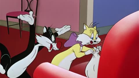 A Mouse Divided (1953) | Warner Bros