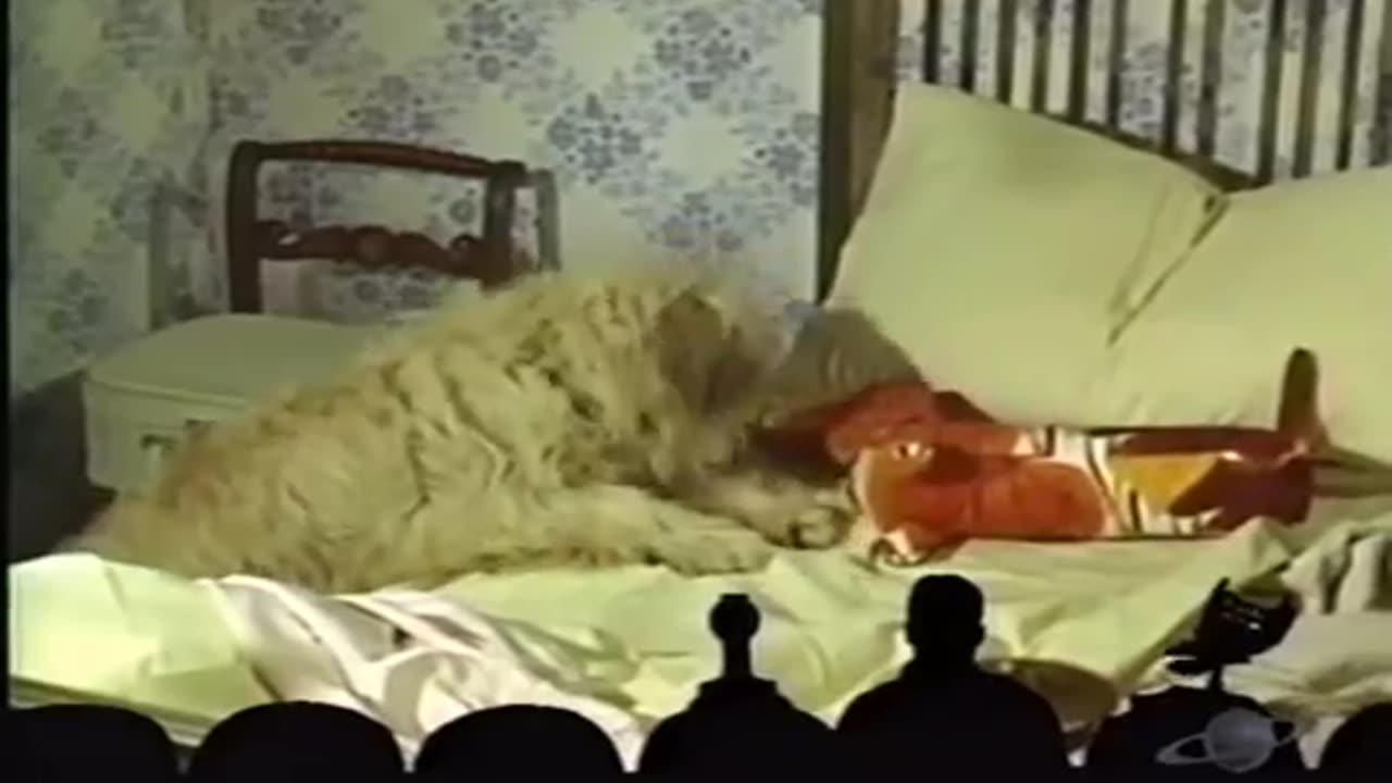 An Inflatable Girl