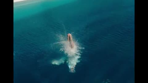 Dua Lipa - Illusion (Official Music Video)