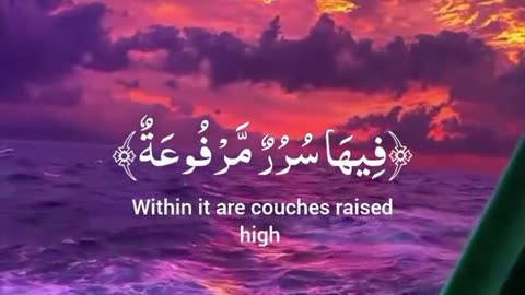 Jaza kallah ♥️✨