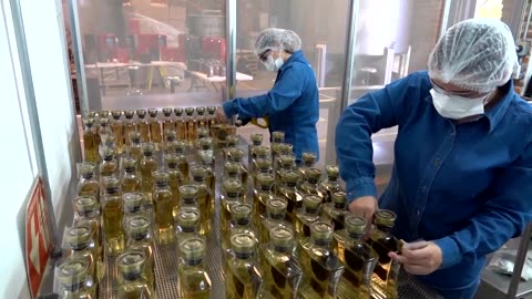 Mexican tequila makers fret as US tariffs threaten business