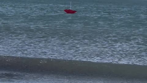 Ocean Claims Beach Umbrella