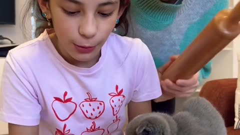 Cats and kids