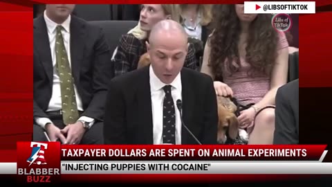 Taxpayer Dollars Are Spent On Animal Experiments