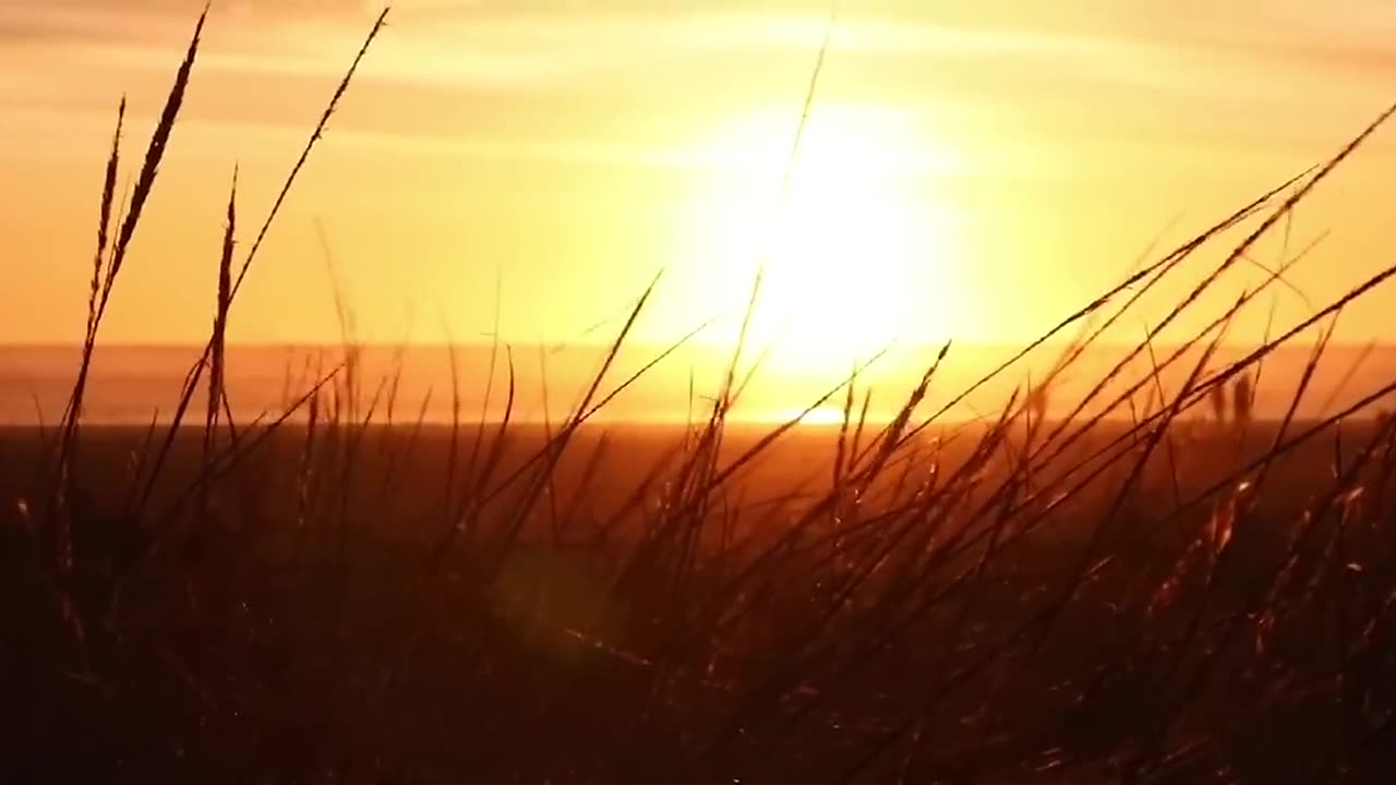 Nature Video 30 Seconds|WhatsApp Status Video Nature Background Videos