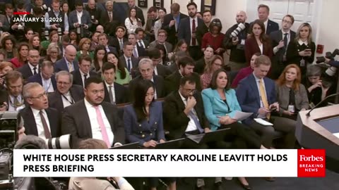 The President 'Continues To Be Briefed On The Collision By Everybody Across His Cabinet'- Leavitt