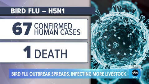 Growing bird flu outbreak spreads to more animals