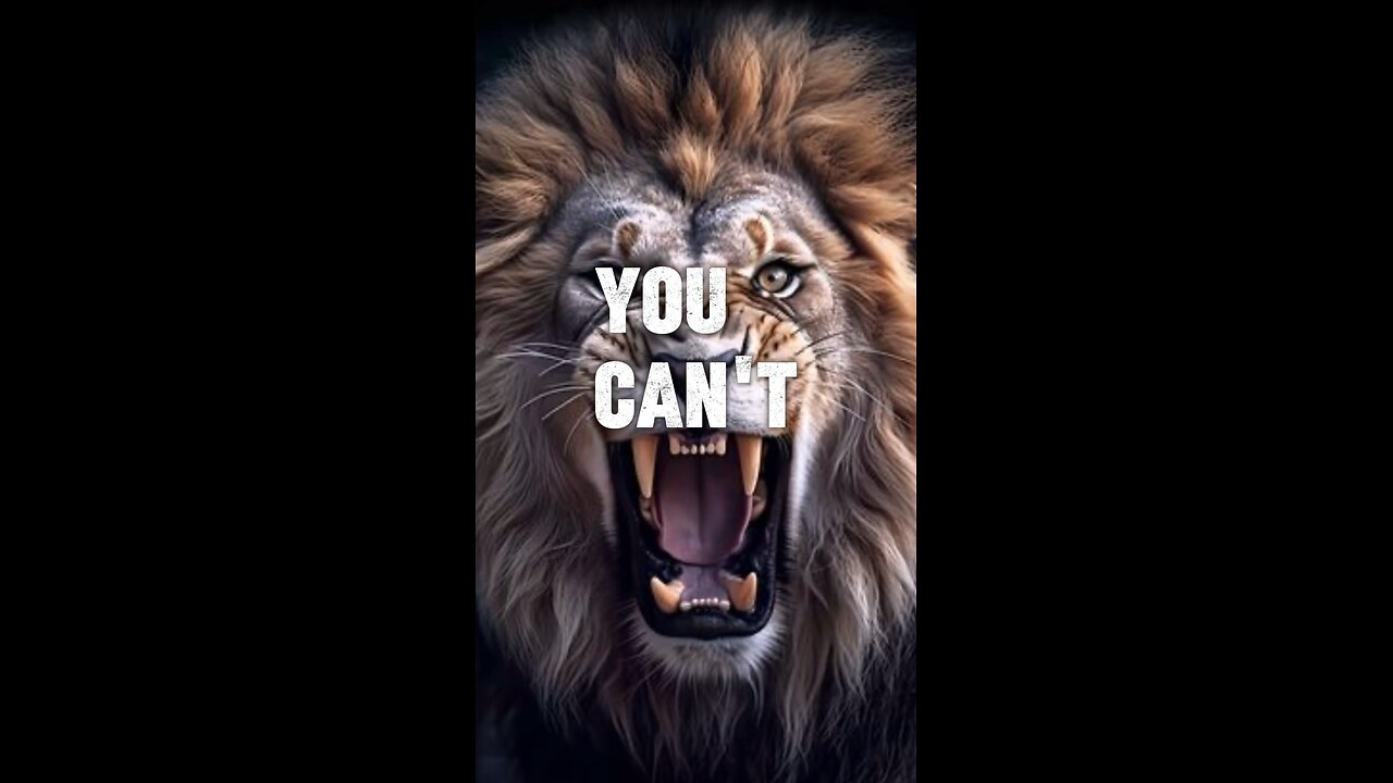 Everybody has their own problems