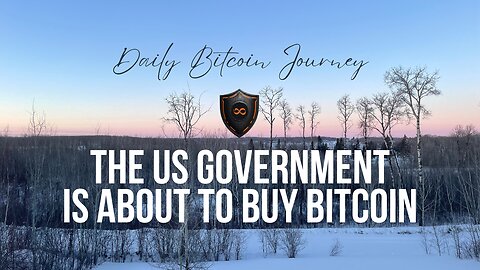 daily bitcoin journey #295 - we have never been more right about bitcoin