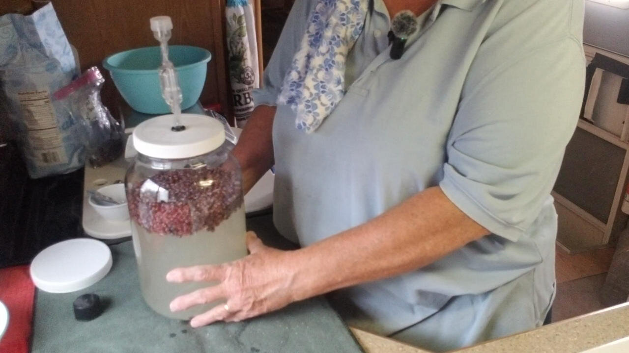 Making Simple Homemade Juniper Wine!