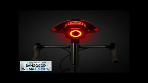 100LM Brightness IPX6 Waterproof Smart Bicycle Tail Rear Light Auto Brake Sensing Review