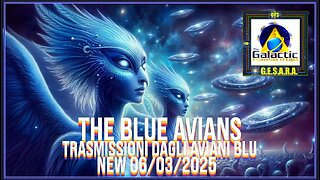 NEW 06/03/2025 The Blue Avians TRASMISSIONI RECENTI.