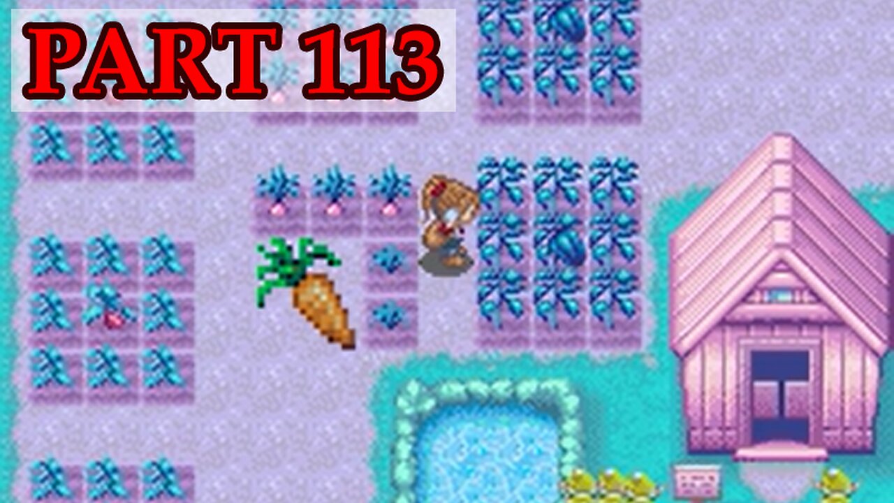 Let's Play - Harvest Moon DS Cute part 113