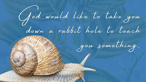 God would like to take you down a rabbit hole to teach you something.