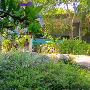 29.12.2024 Sounds of Kuranda