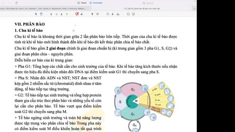 SINH HỌC BUỔI 16 CHỦ ĐỀ 7 KHÁI QUÁT CHƯƠNG TRÌNH MÔN SINH HỌC SINH HỌC TẾ BÀOTIẾP mp4