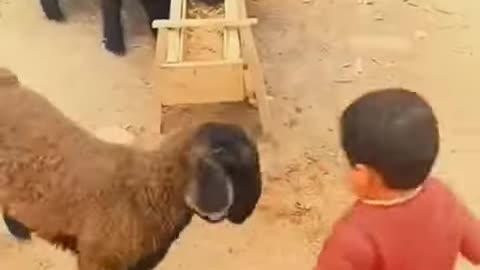 Cute baby funny video 😀😍 #cutebaby # viral #kids #shorts #youtubeshorts 5_2