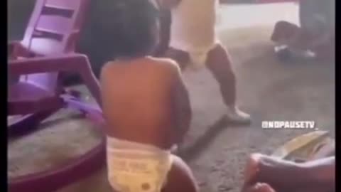 Black babies fighting.... black people will blame white people for this