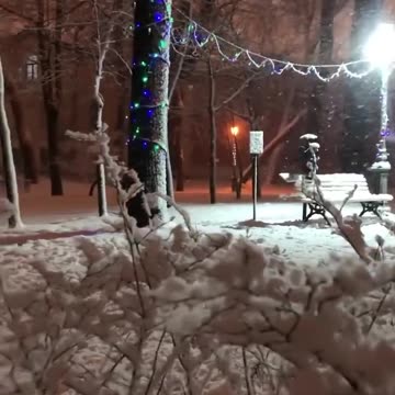 Snowstorm in Saint-Petersburg