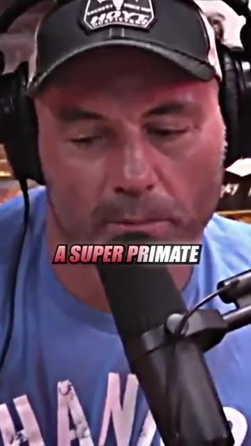 Gorilla VS. Grizzly Bear 😳 ft. Joe Rogan