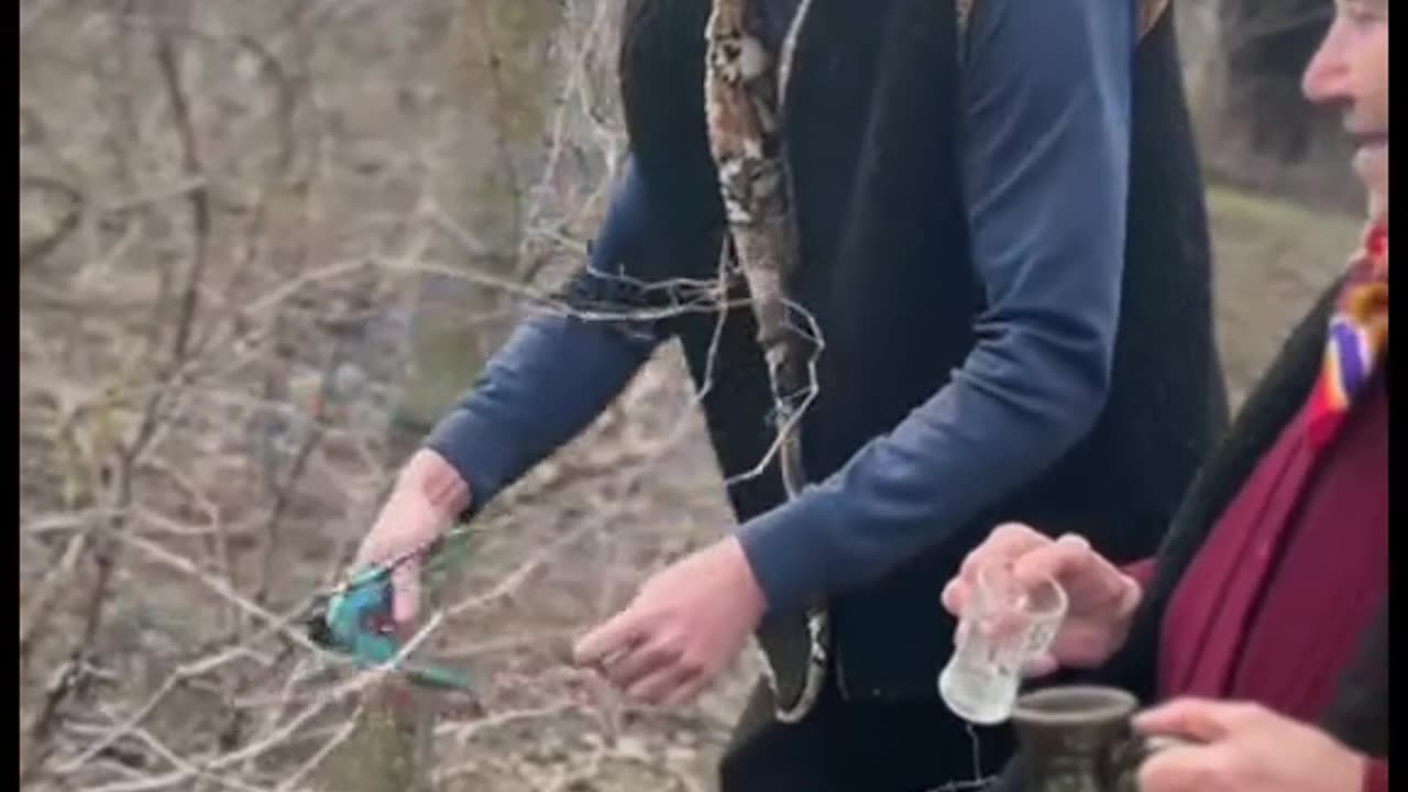 ТРИФОН ЗАРЕЗАН В БЕСАРАБИЯ