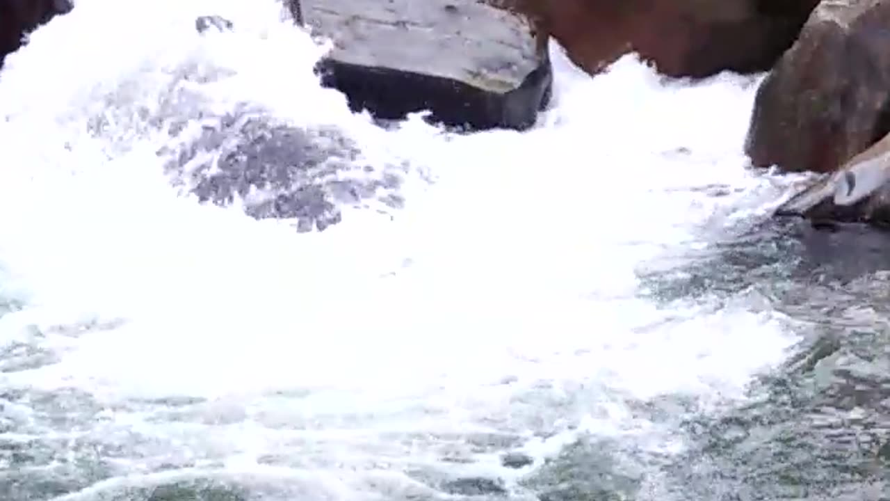 Small stream flowing with water