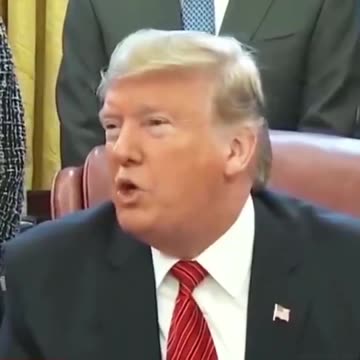 il Donaldo Trumpo @PapiTrumpo ---THE BOSS IS BACK!!!😎🇺🇸😂😂😂