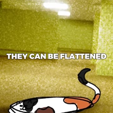 the most ADORABLE backrooms entity