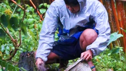 Vlog Daily Life in Tyni Small Space Planting