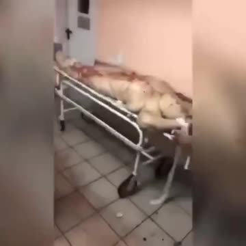 WARNING: GRAPHIC HORRIBLE ORGAN HARVESTING, THESE PEOPLE ARE SICK!!!