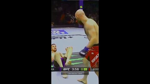 Brutal Kicks That Shook the Fight!