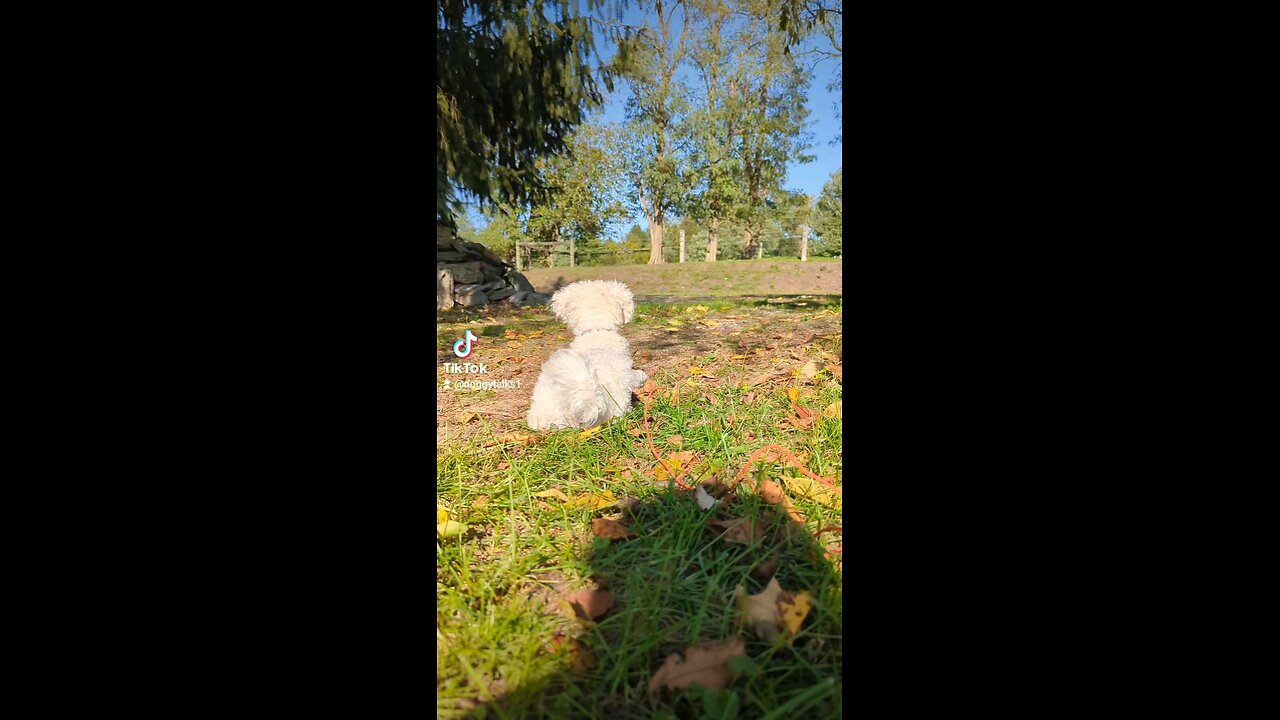 Relaxing In the SunShine