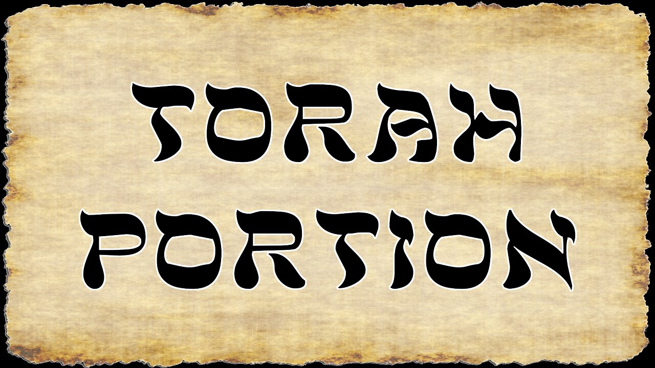 Torah Portion for 01/11/2025