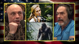 Joe & Mark On Jane Goodall's Belief Of Bigfoot