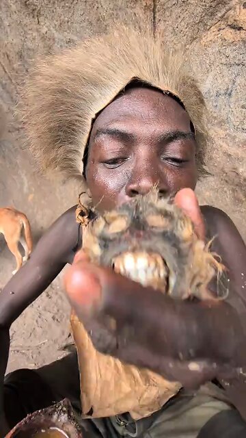 meet monke 😭😭😭😭😭