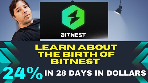 Learn about the birth of BitNest...