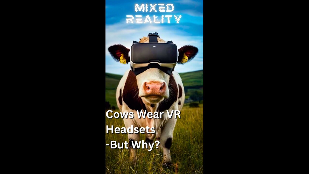 What VR Does For Cows