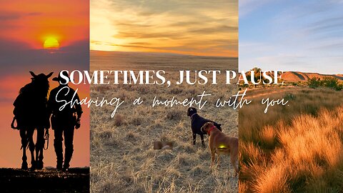 Peaceful Wyoming Sunset with My Boxer Buddies 🌄🐾