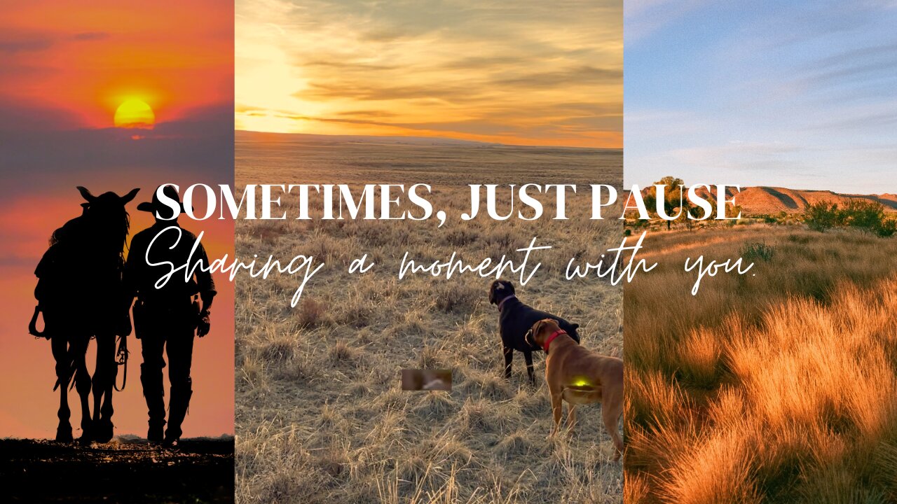 Peaceful Wyoming Sunset with My Boxer Buddies 🌄🐾