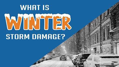 What is Winter Storm Damage?