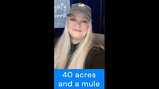 40 Acres And Mule