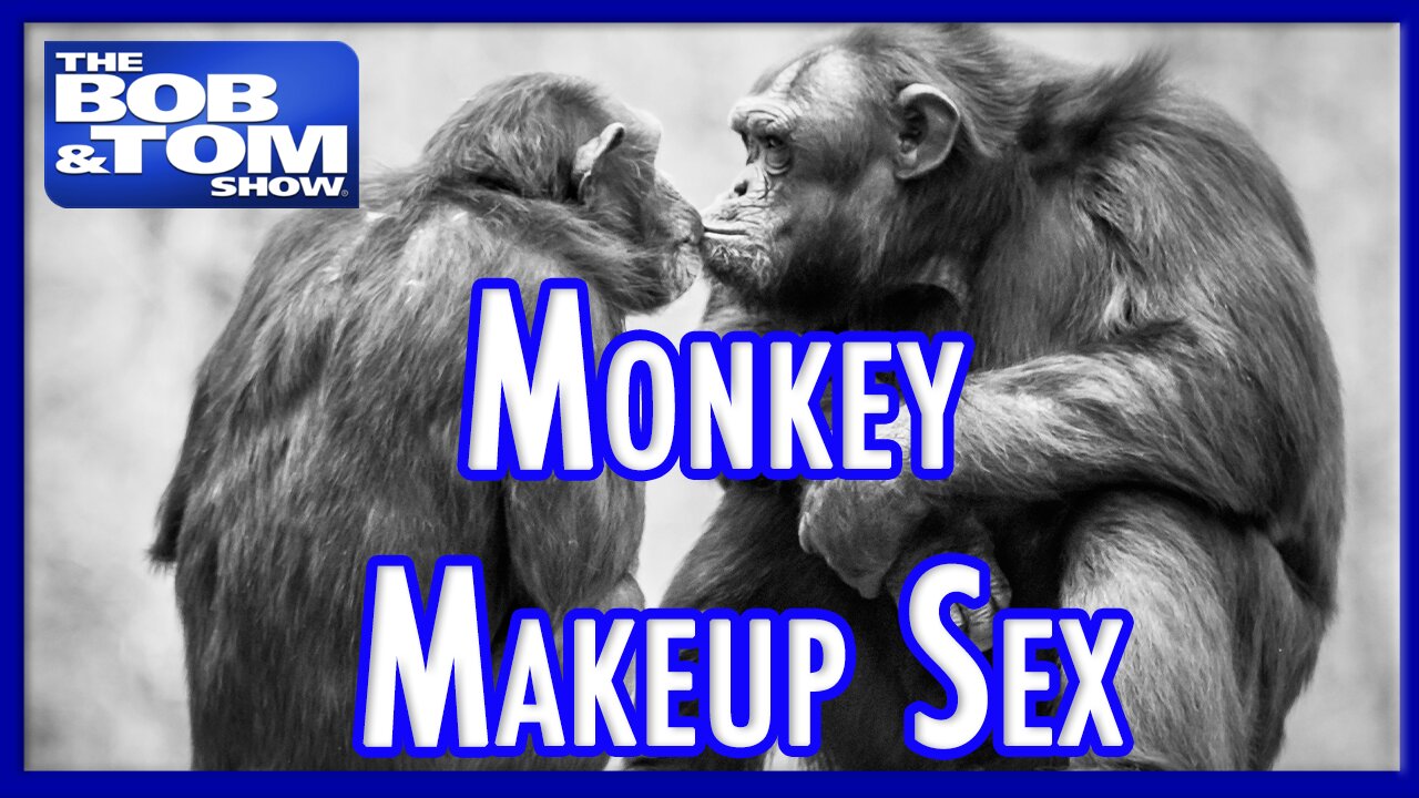 Makeup Monkey Sex & Stupid World Records