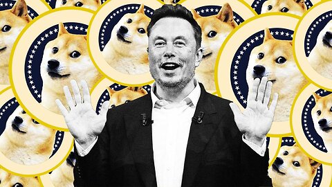 Musk reveals vast inner workings of DOGE