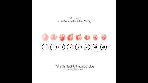The Evolution of The Dark Side of The Moog ~ Klaus Schulze & Pete Namlook