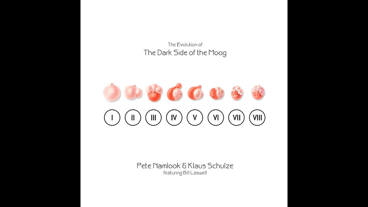 The Evolution of The Dark Side of The Moog ~ Klaus Schulze & Pete Namlook