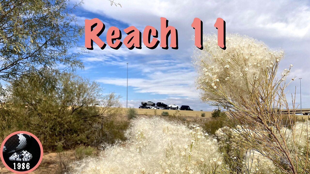 Biking Reach 11, Phoenix
